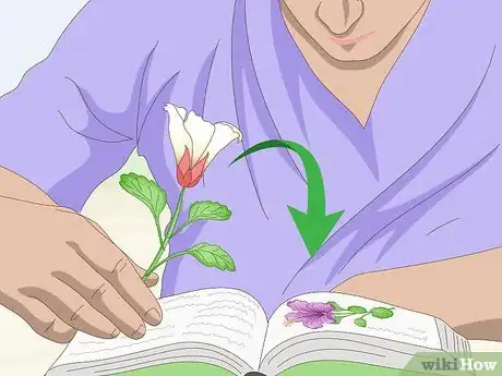 Image titled Identify Flowers Step 1