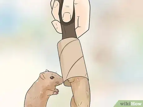 Image titled Care for Gerbils Step 10