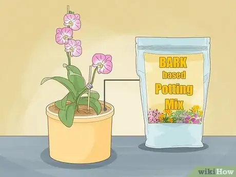 Image titled Care for Orchids Step 11