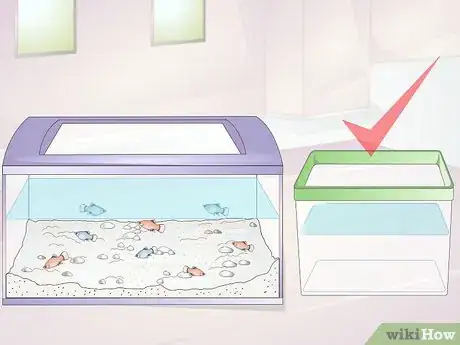 Image titled Take Care of Baby Platy Fish Step 3