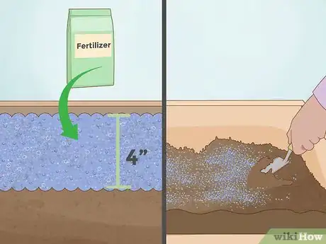 Image titled Grow Celery Step 7