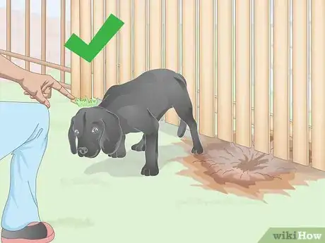 Image titled Stop a Dog from Digging Under the Fence Step 4