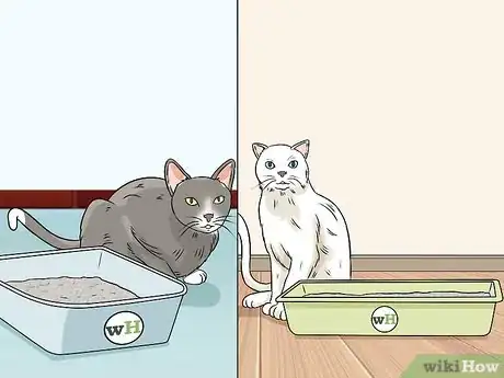 Image titled Identify Cat Stool Problems Step 4