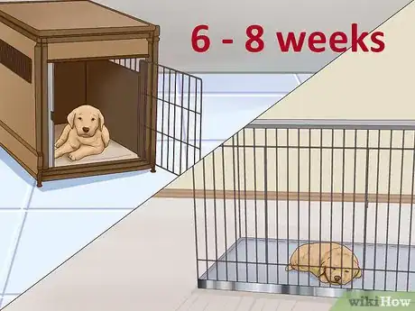 Image titled Know when Puppies Are Ready for New Homes Step 10