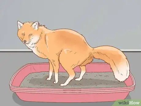 Image titled Tame a Fox Step 10