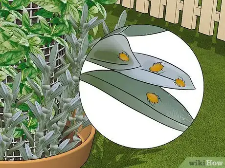 Image titled Make a Tower Garden Step 13