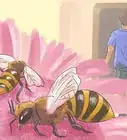 Approach a Bee Infestation