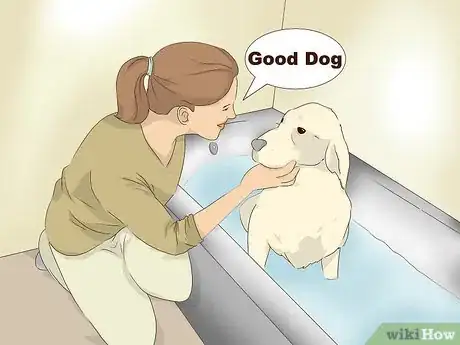 Image titled Make an Oatmeal Bath for a Dog Step 4