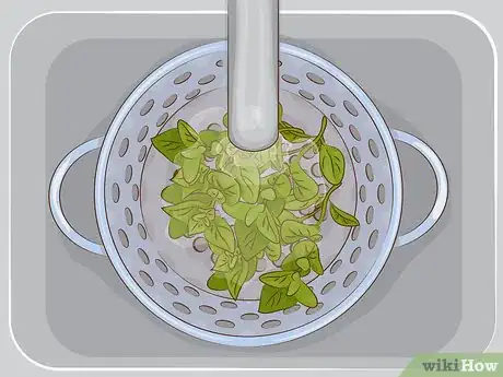 Image titled Use Oregano in Cooking Step 1