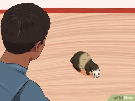 Image titled Ferret Proof a House Step 12