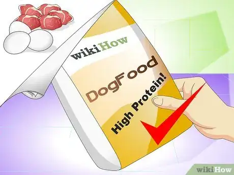 Image titled Cure a Dog's Stomach Ache Step 17