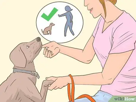 Image titled Get an Emotional Support Animal Letter Step 12