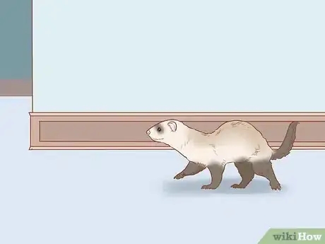 Image titled Make Your Ferret Happy Step 7