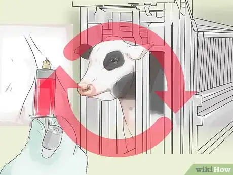 Image titled Tell if a Cow or Heifer Is Pregnant Step 9