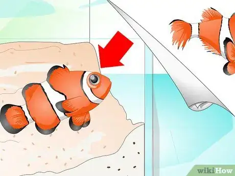 Image titled Tell if Your Fish Is Sick Step 9