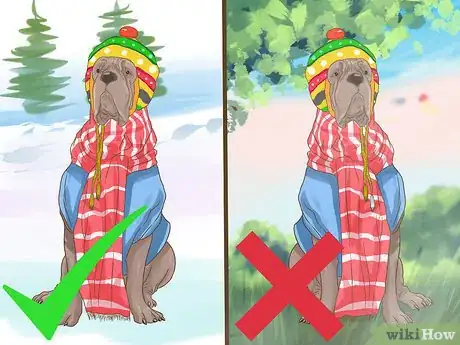 Image titled Dress a Dog for Snow Step 12