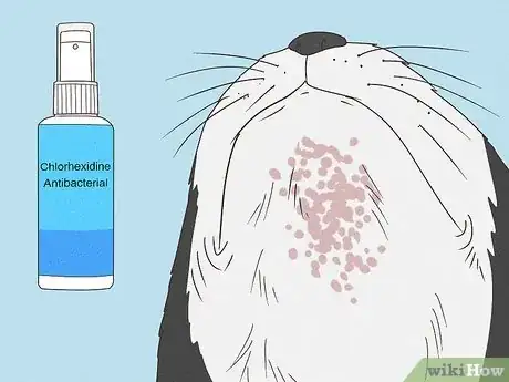 Image titled Treat Feline Acne Step 2