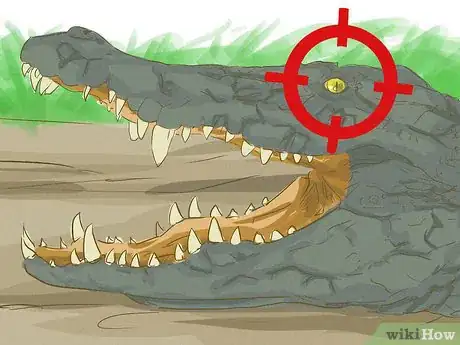 Image titled Survive an Encounter with a Crocodile or Alligator Step 16