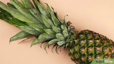 Image titled Tell if a Pineapple Is Ripe Step 7