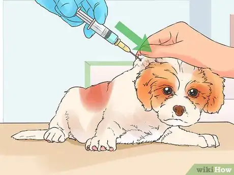 Image titled Give Puppy Shots Step 17