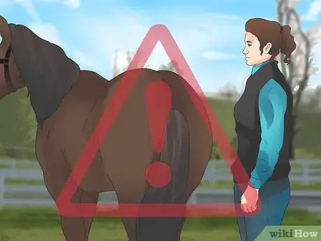 Image titled Be Safe Around Horses Step 14