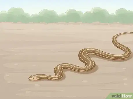 Image titled Get Rid of Snakes Step 6