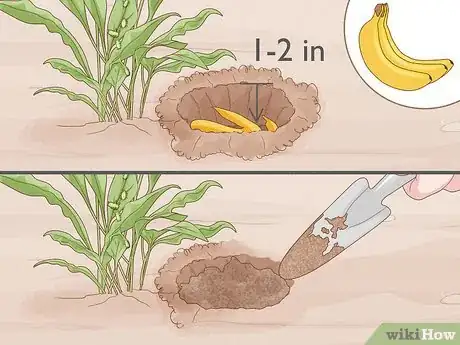 Image titled Keep Aphids Away Using Eco Friendly Methods Step 12