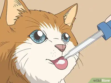 Image titled Make Kitten Formula Step 11