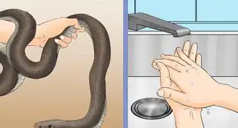 Remove Duct Tape from a Snake