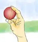 Bowl the Leg Spinner's Variations