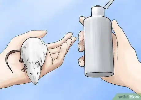 Image titled Bathe Your Pet Rat Step 4