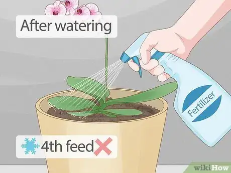 Image titled Care for Phalenopsis Orchids (Moth Orchids) Step 3