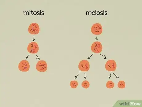 Image titled What Do All Cells Have in Common Step 15