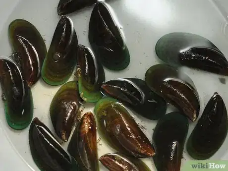 Image titled Buy and Clean Mussels Step 1