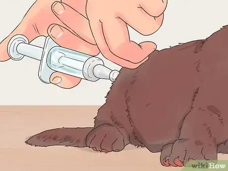 Image titled Give Puppy Shots Step 10