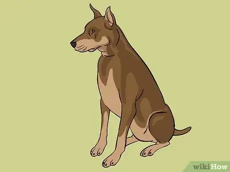 Image titled Draw a Dog Step 36
