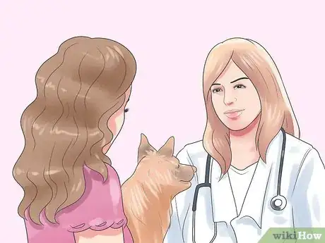 Image titled Treat Dog Bite Wounds on Dogs Step 13