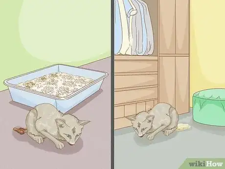 Image titled Tell if Your Cat Wants Another Cat Step 10