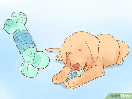 Image titled Cure a Dog's Bad Breath Step 7