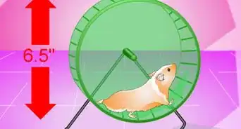 Make Your Hamster Live Longer