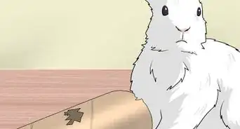 Make Homemade Rabbit Toys