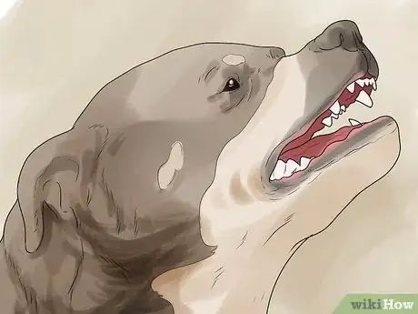 Image titled Get Your Dog to Be Nice to Strangers Step 12