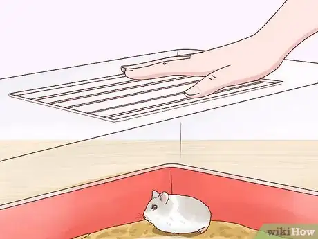 Image titled Care for Winter White Dwarf Hamsters Step 17