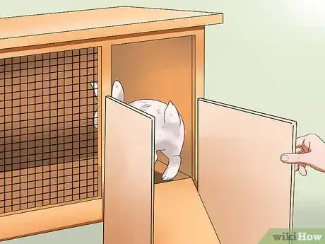 Image titled Teach Your Rabbit to Go Back to His Hutch Step 3