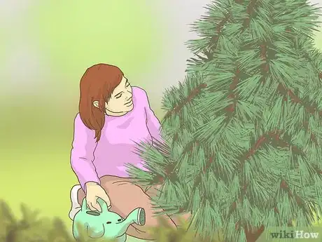 Image titled Keep Your Christmas Tree Fresh Longer Step 9