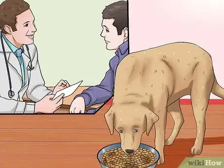 Image titled Help Your Dog Lose Weight Step 5