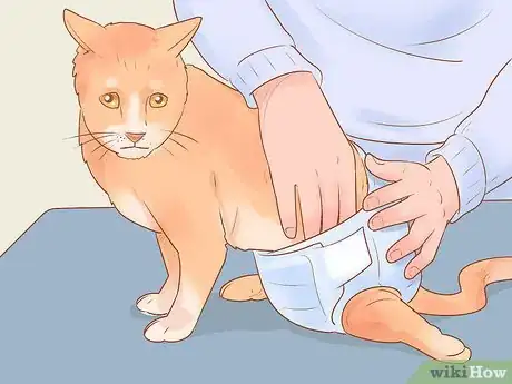 Image titled Help a Cat That Is Dragging Its Rear Legs Step 10