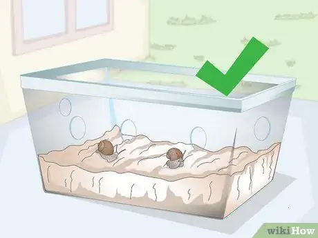 Image titled Snail Farm Step 13