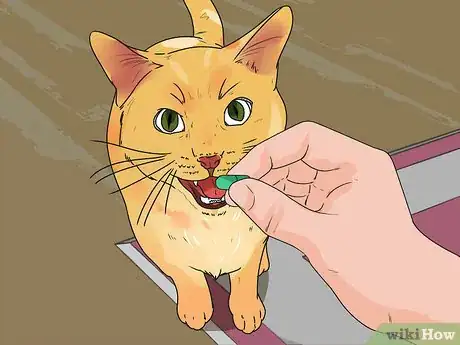 Image titled Treat Feline Cancer Step 11