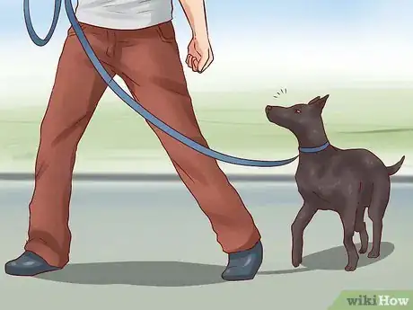 Image titled Teach Your Dog Basic Commands Step 25